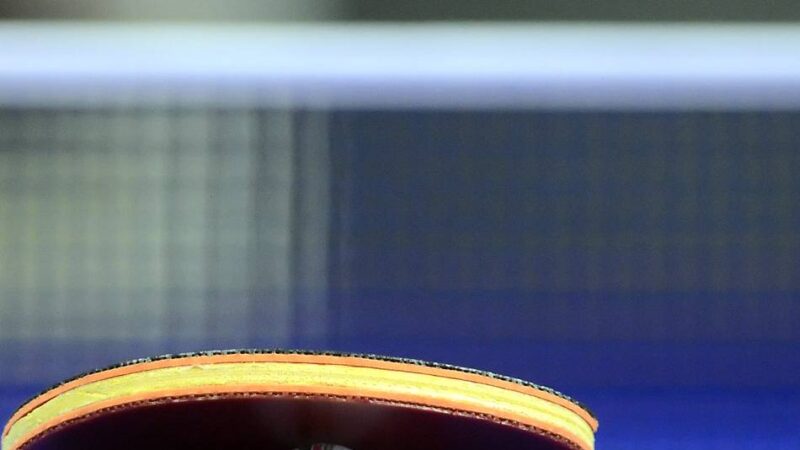 Sport in Meerbusch: Tischtennis-Talente überzeugen bei Bezirksmeisterschaften