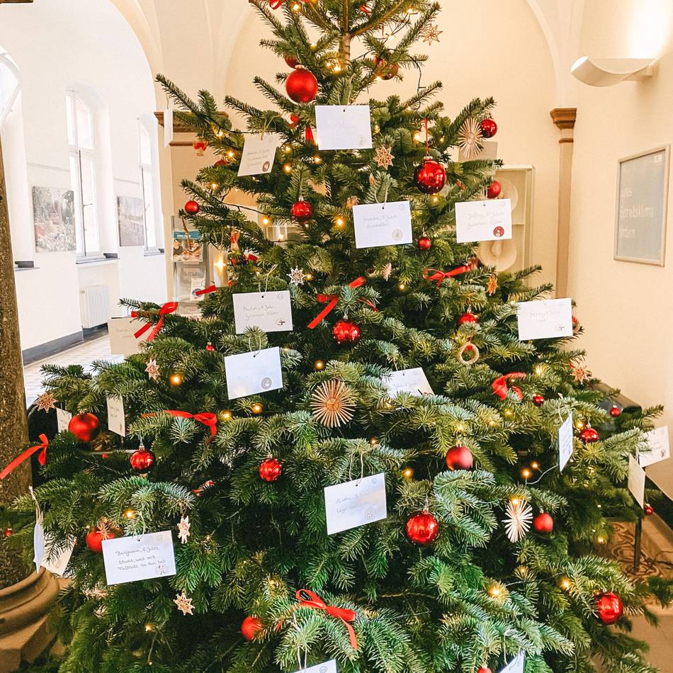 In Langenfeld: Wunschbaumaktion der LVR-Klinik startet wieder