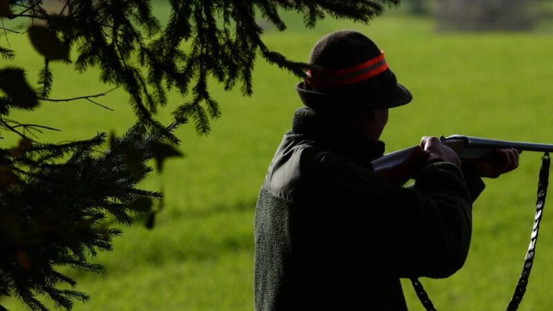Erschossenes Pferd in Neuss-Rosellen: „Dieser Jäger darf nie wieder eine Waffe in der Hand halten“