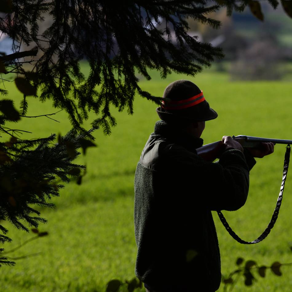 Erschossenes Pferd in Neuss-Rosellen: „Dieser Jäger darf nie wieder eine Waffe in der Hand halten“