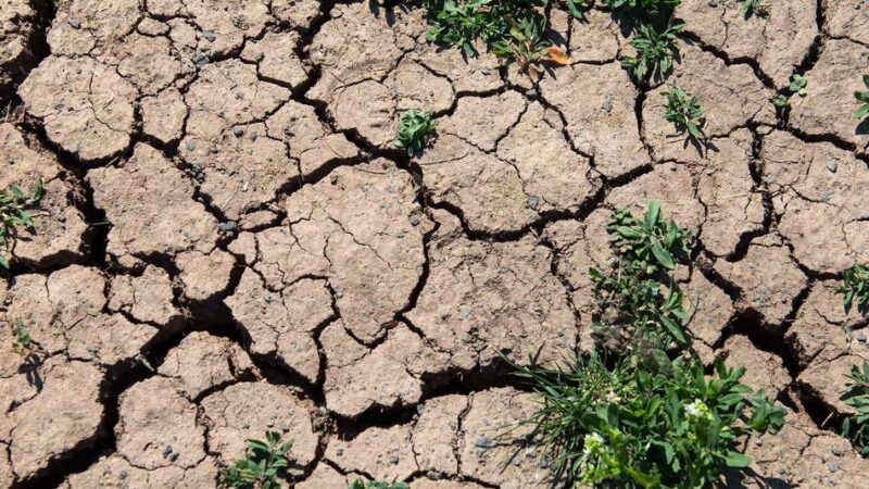 Klimawandel: Erde steuert laut UN auf 2,8 Grad Erwärmung zu