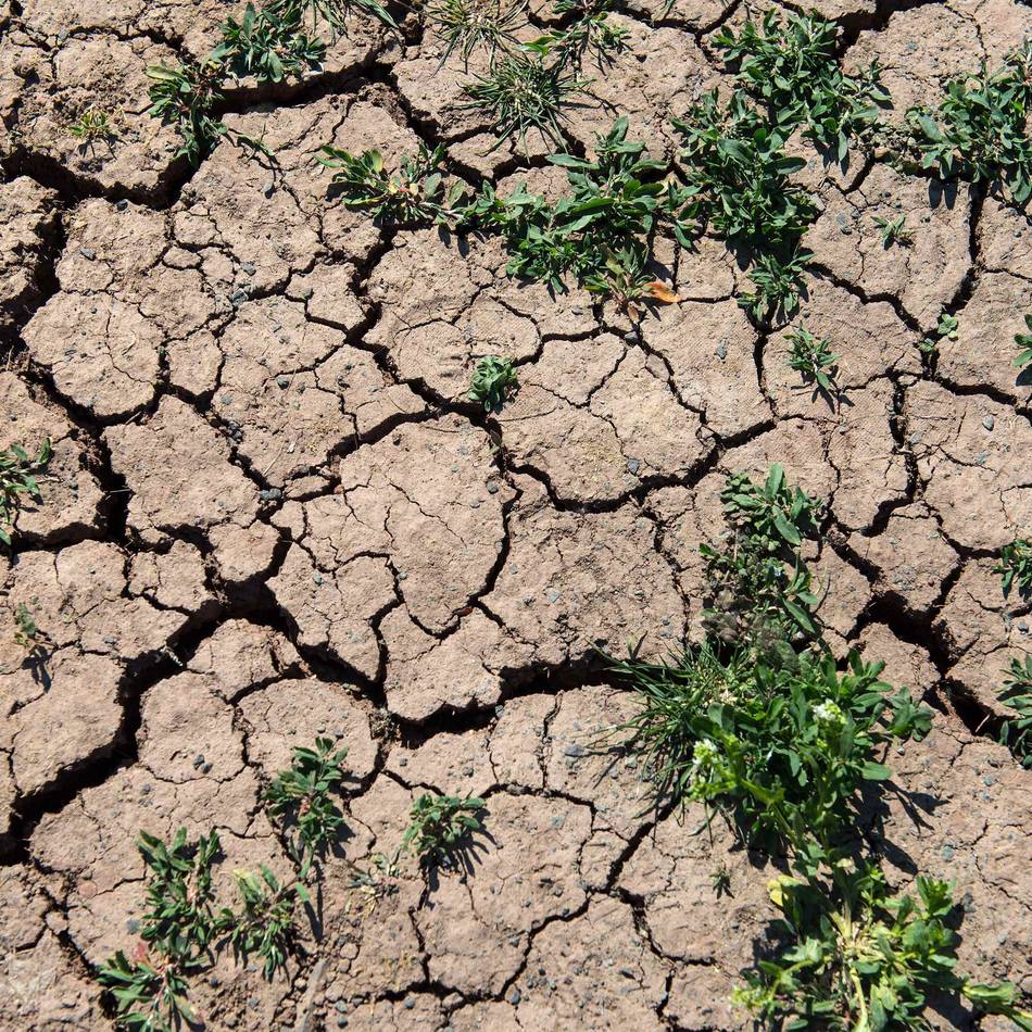 Klimawandel: Erde steuert laut UN auf 2,8 Grad Erwärmung zu