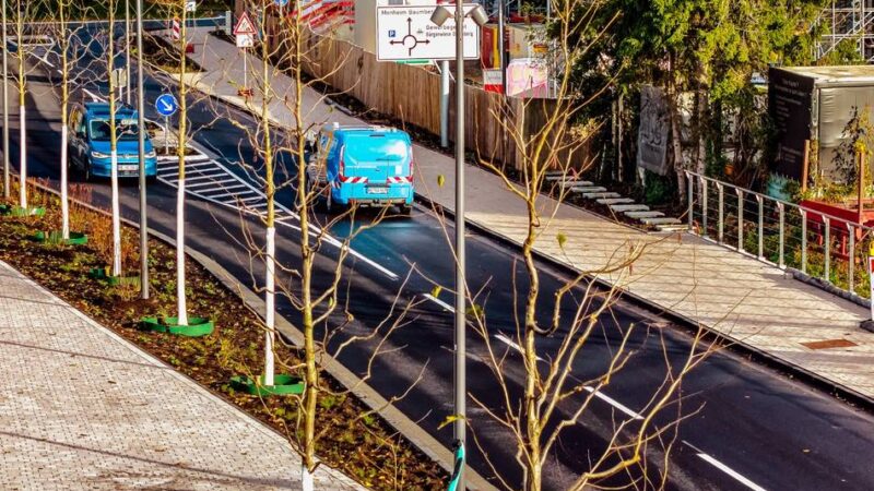 In Monheim: Rheinpromenade erhält 9500 neue Pflanzen