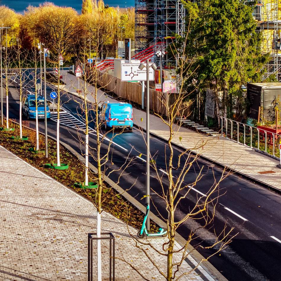 In Monheim: Rheinpromenade erhält 9500 neue Pflanzen