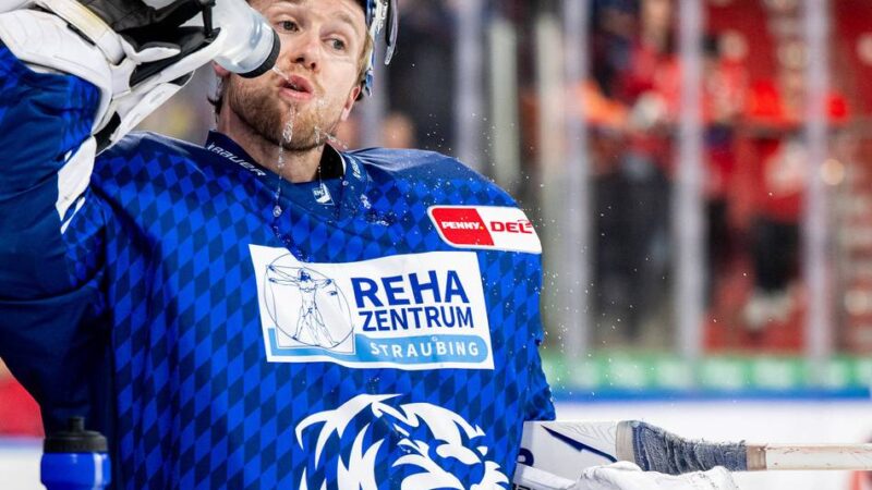 Die ehemaligen DEG-Spieler in der DEL: Haukeland grüßt von der Tabellenspitze, Blank macht Entwicklungsschritt