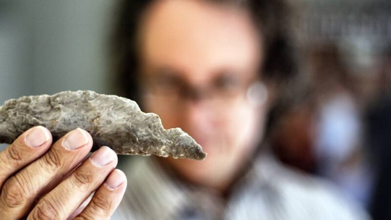 Neanderthal Museum: Fundstücke von Mammut bis Steinwerkzeug im Fokus