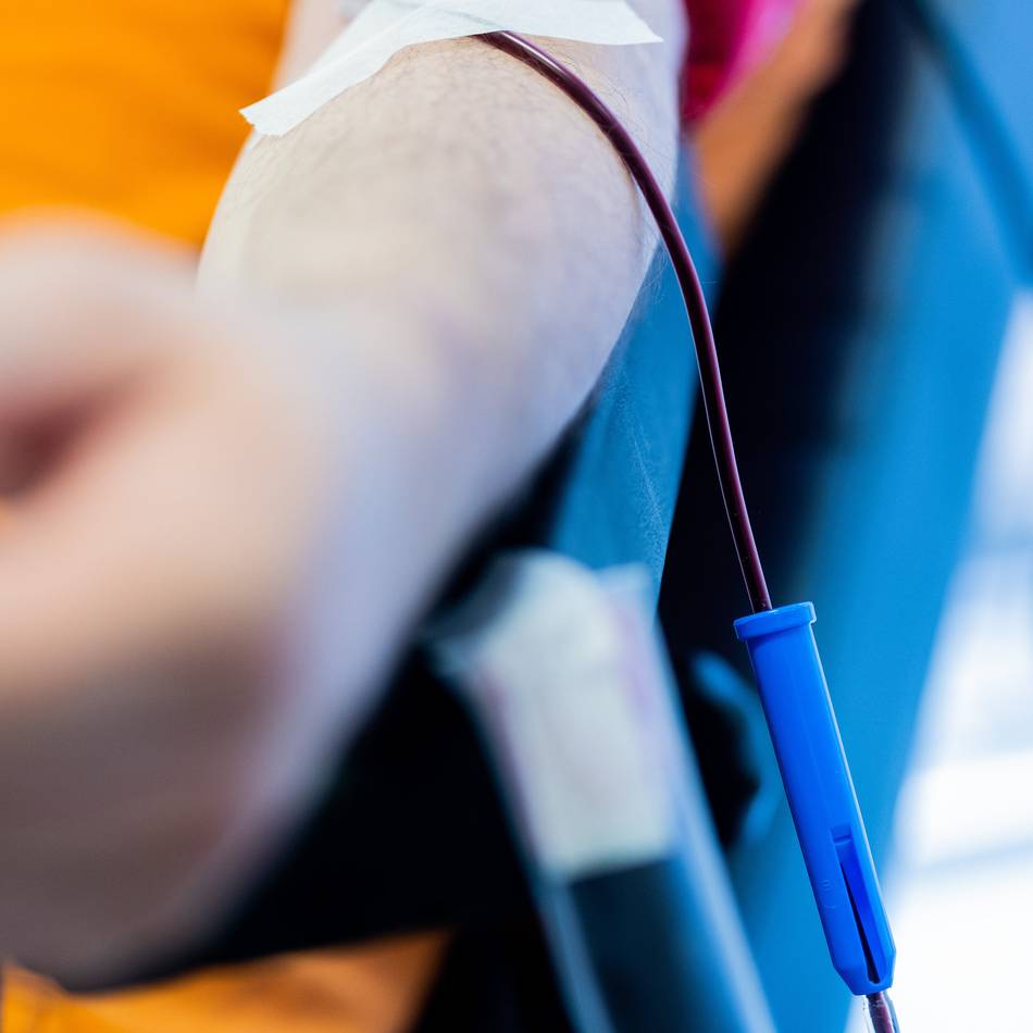 Adventsaktion in Mettmann: Rotes Kreuz ruft zur Blutspende auf