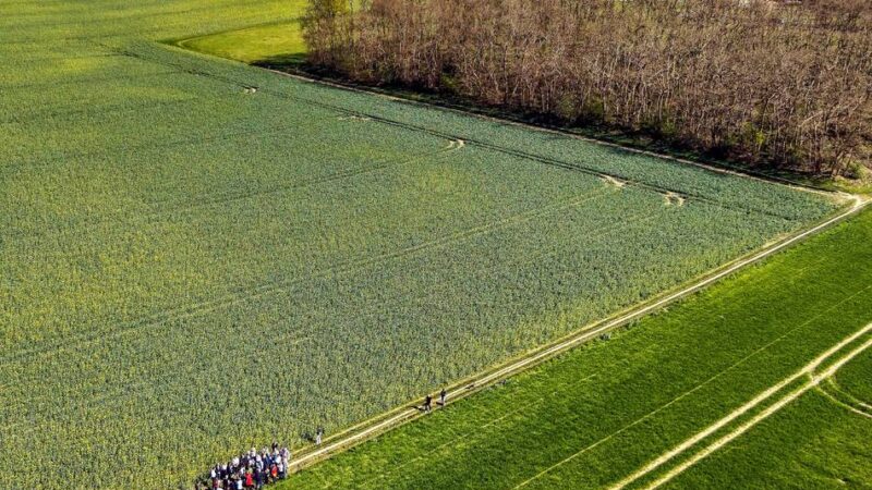 „Es geht nicht darum, Bayer etwas zu verwehren“: Monheim stoppt Baupläne für Bayer-Fußballcampus