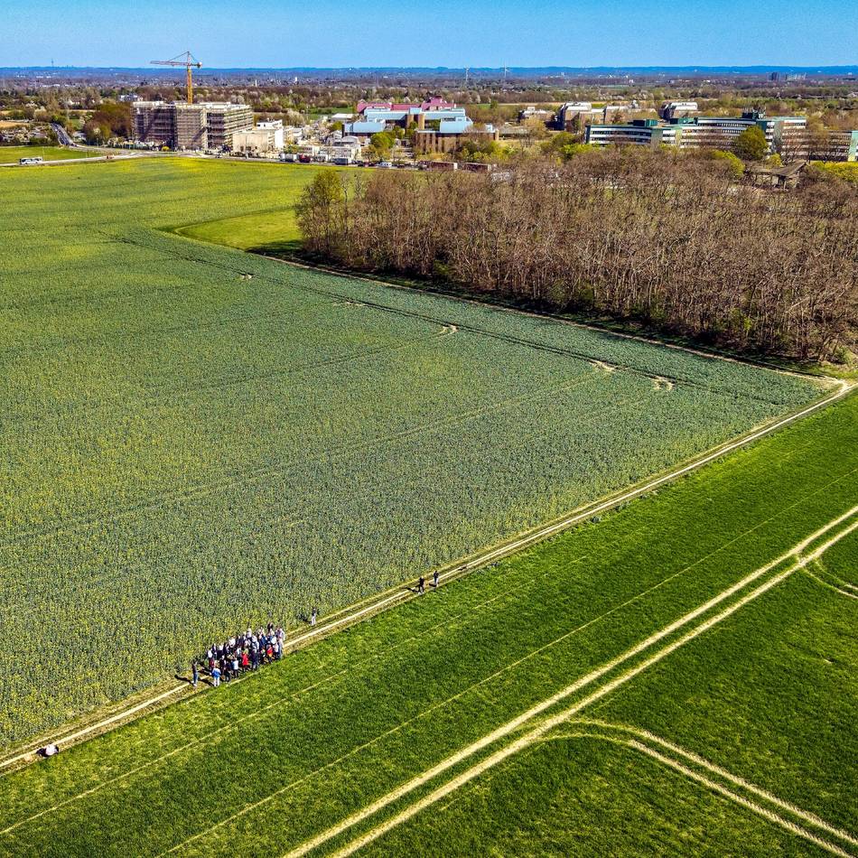 „Es geht nicht darum, Bayer etwas zu verwehren“: Monheim stoppt Baupläne für Bayer-Fußballcampus