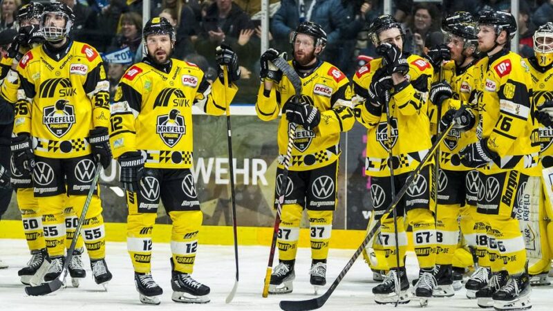 Nach dem Ende ihrer Zeit in Krefeld: So schlagen sich die Ex-Pinguine bei ihren neuen Klubs