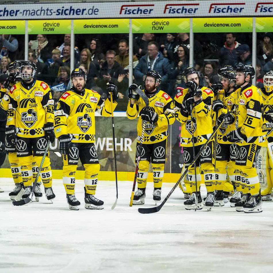 Nach dem Ende ihrer Zeit in Krefeld: So schlagen sich die Ex-Pinguine bei ihren neuen Klubs