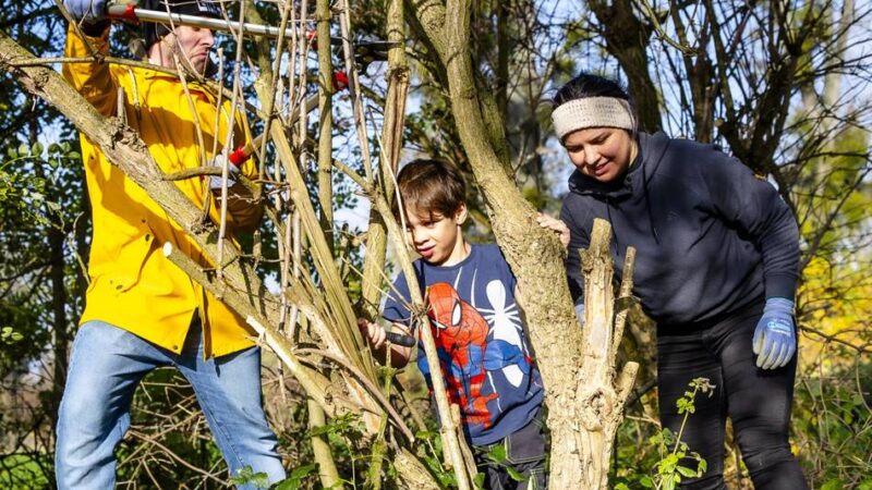 Naturschutz in Düsseldorf: Ackern in der Urdenbacher Kämpe – Heckenschneiden statt Bürojob