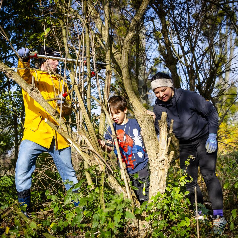 Naturschutz in Düsseldorf: Ackern in der Urdenbacher Kämpe – Heckenschneiden statt Bürojob