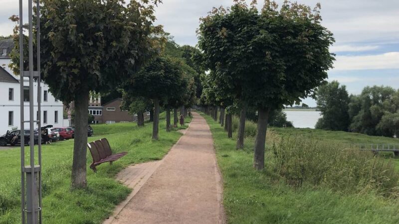 Am 27. November in Rheinberg: Info-Abend zur Deichsanierung von Orsoy bis Baerl