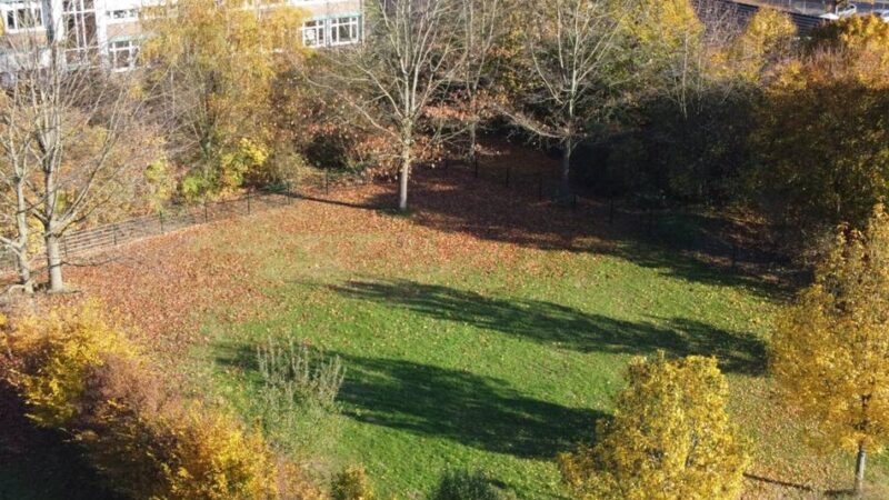 Haustiere in Langenfeld: Hunde können sich auf neuer Auslauffläche austoben