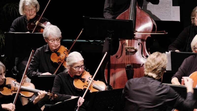 Kultur in Ratingen: Collegium musicum gibt sein Herbstkonzert