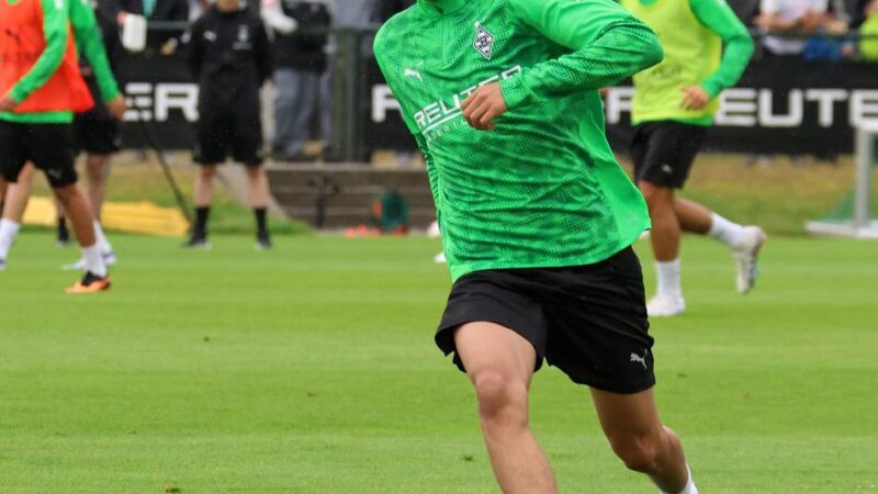 Mohya und Fleck treffen: Nächster 3:2-Sieg für Borussias Nachwuchs in England