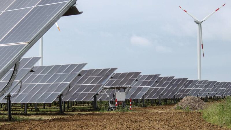 Landwirt möchte 19 Hektar große Agri-Solaranlage östlich von Mettmann errichten: Wenn der Strom vom Acker kommt