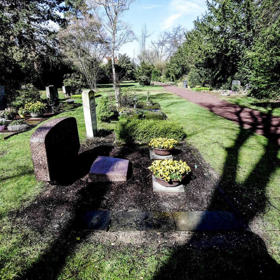 Gebühren für den Friedhof: Sterben wird in Düsseldorf immer teurer