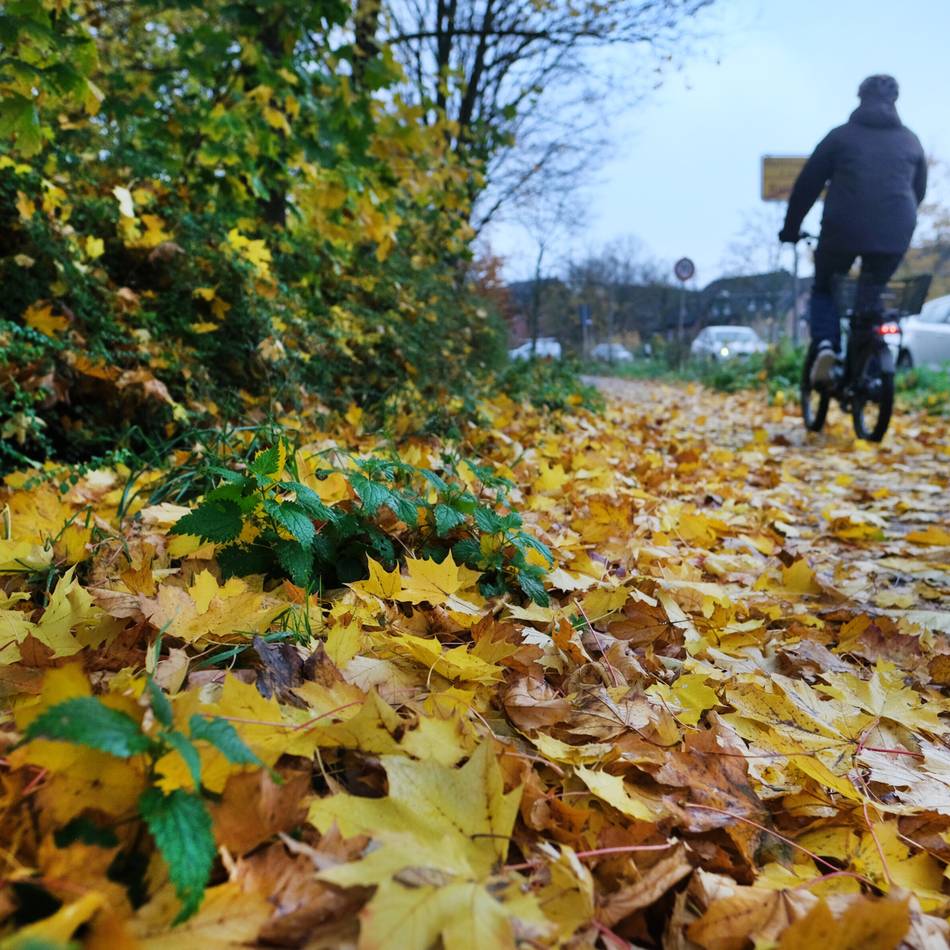 Auf Ratinger Straßen: So wird Laub zur Gefahr