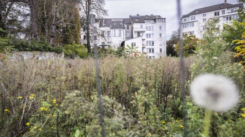 The Flag in Düsseldorf: Studentisches Wohnen für 30 Euro pro Quadratmeter – „Wer soll das bezahlen?“