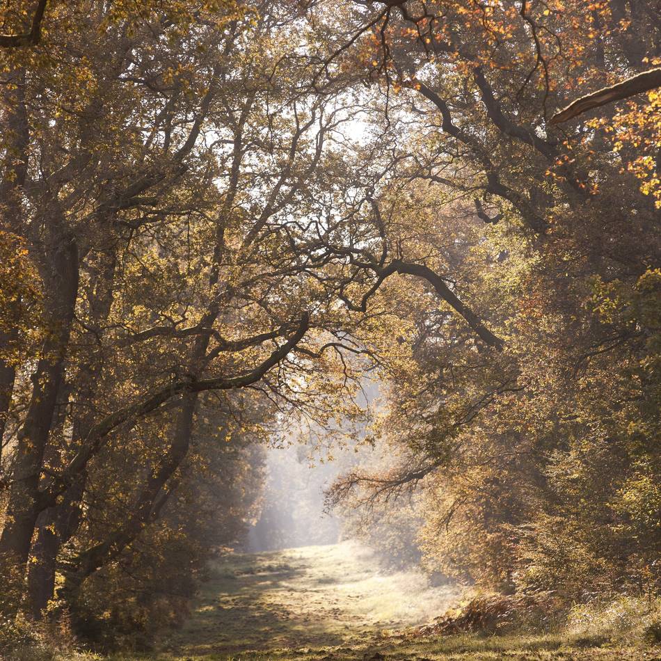 Eine Death Doula über Sterbebegleitung und Trauer: „Wie schaffen Sie es, dem Tod so viel Gutes abzuringen, Frau Wiedemann?“