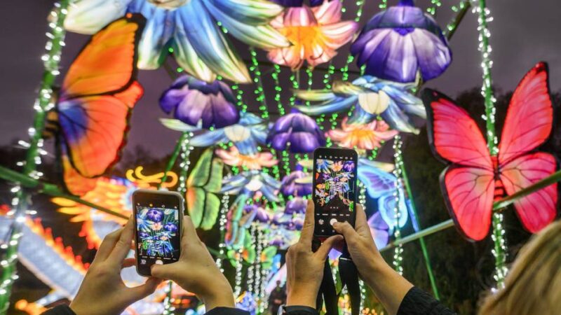 „Japan & Korea Light & Food Festival“: Japanisch-koreanisches Food- und Lichtfestival lockt am Wochenende an den Rhein