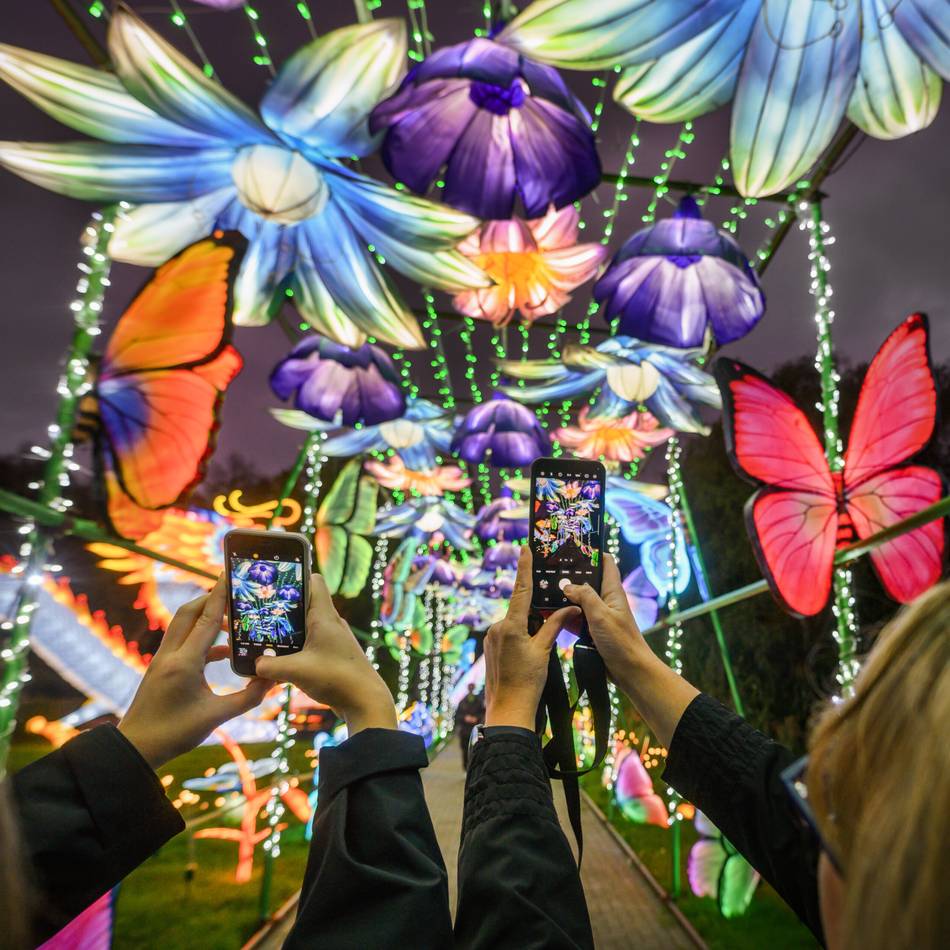 „Japan & Korea Light & Food Festival“: Japanisch-koreanisches Food- und Lichtfestival lockt am Wochenende an den Rhein