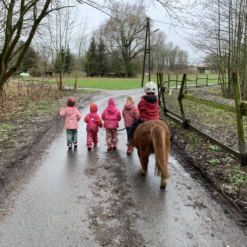 Pädagogisches Konzept mit Tieren: Elterninitiative kämpft für den Erhalt des Hofkindergartens