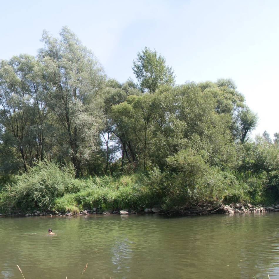 „Kontaminierte Orte“: Wenn Gras über Auschwitz, Buchenwald und Verdun wächst