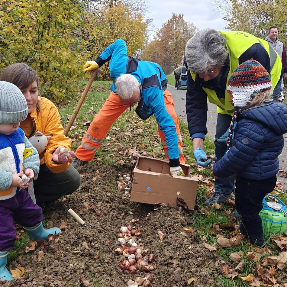 Bürgerverein Metzkausen räumt Comberg-Park auf: Der Müll kommt raus und 1800 Blumenzwiebeln rein