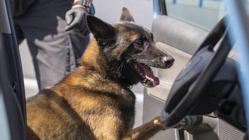 Nach Razzia in Hilden: Führt eine Spur der Mafia nach Hilden?