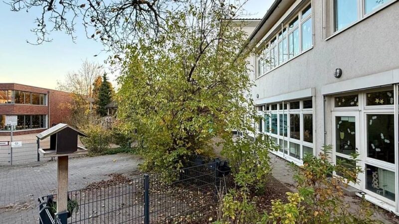 Schulneubau in Düsseldorf: Stadt Düsseldorf will 13 Jahre alte Turnhalle wieder abreißen