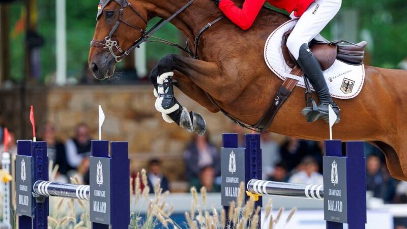 Reitsport: Vorwürfe gegen Kukuk: „Solche Bilder wollen wir nicht sehen“