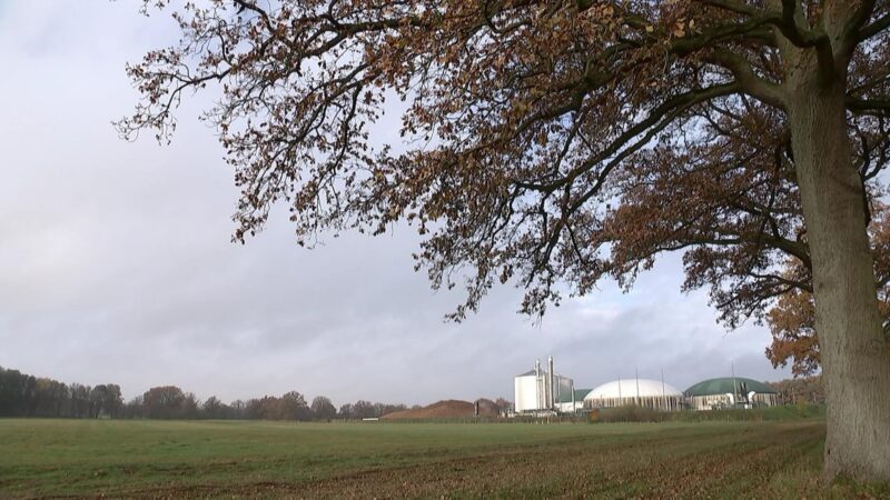Warum ein Dorf in Brandenburg Biogas zum Heizen nutzt