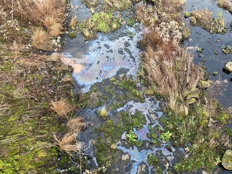 FW-MH: Vermutete Gewässerverunreinigung an der Kassenbergbrücke – Natürliches Phänomen löst Feuerwehreinsatz aus