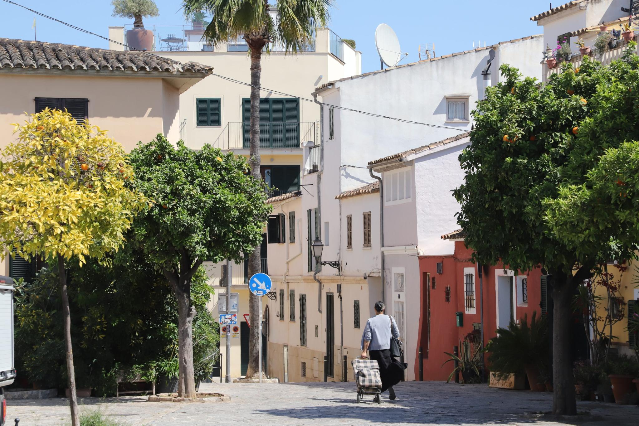 Alteingesessene Einheimische in Mallorca-Trendviertel fühlen sich von „aggressivem Investor“ schikaniert