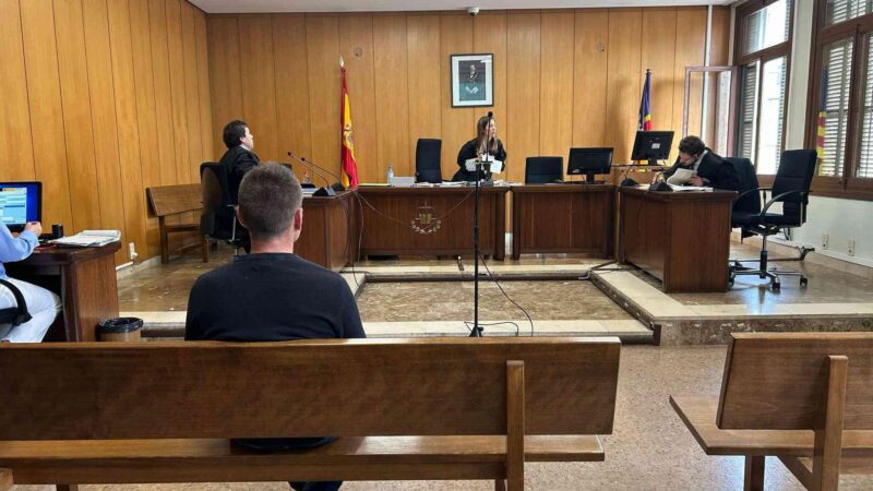 Sterbenskranke Hündin einfach im Müll entsorgt: Mann auf Mallorca zu Haftstrafe verurteilt