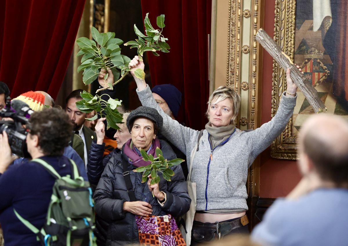 Protest wegen 17 gefällter Bäume in Palma: Anwohner stürmen Rathaus
