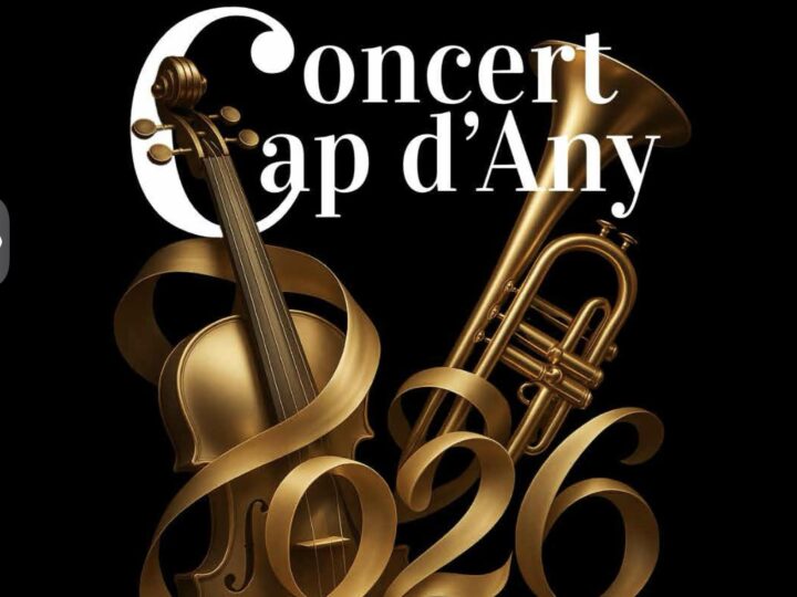 Konzertführer: Das Neujahrskonzert der Sinfoniker 2026