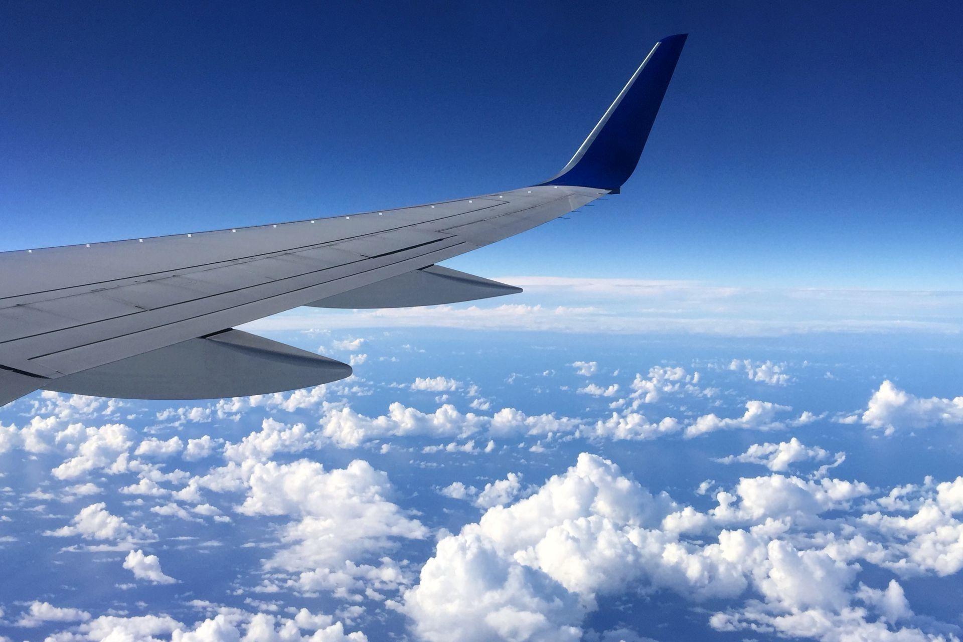 Kein Scherz: Hundebaby auf der Landebahn legt Flughafen auf Mallorca lahm