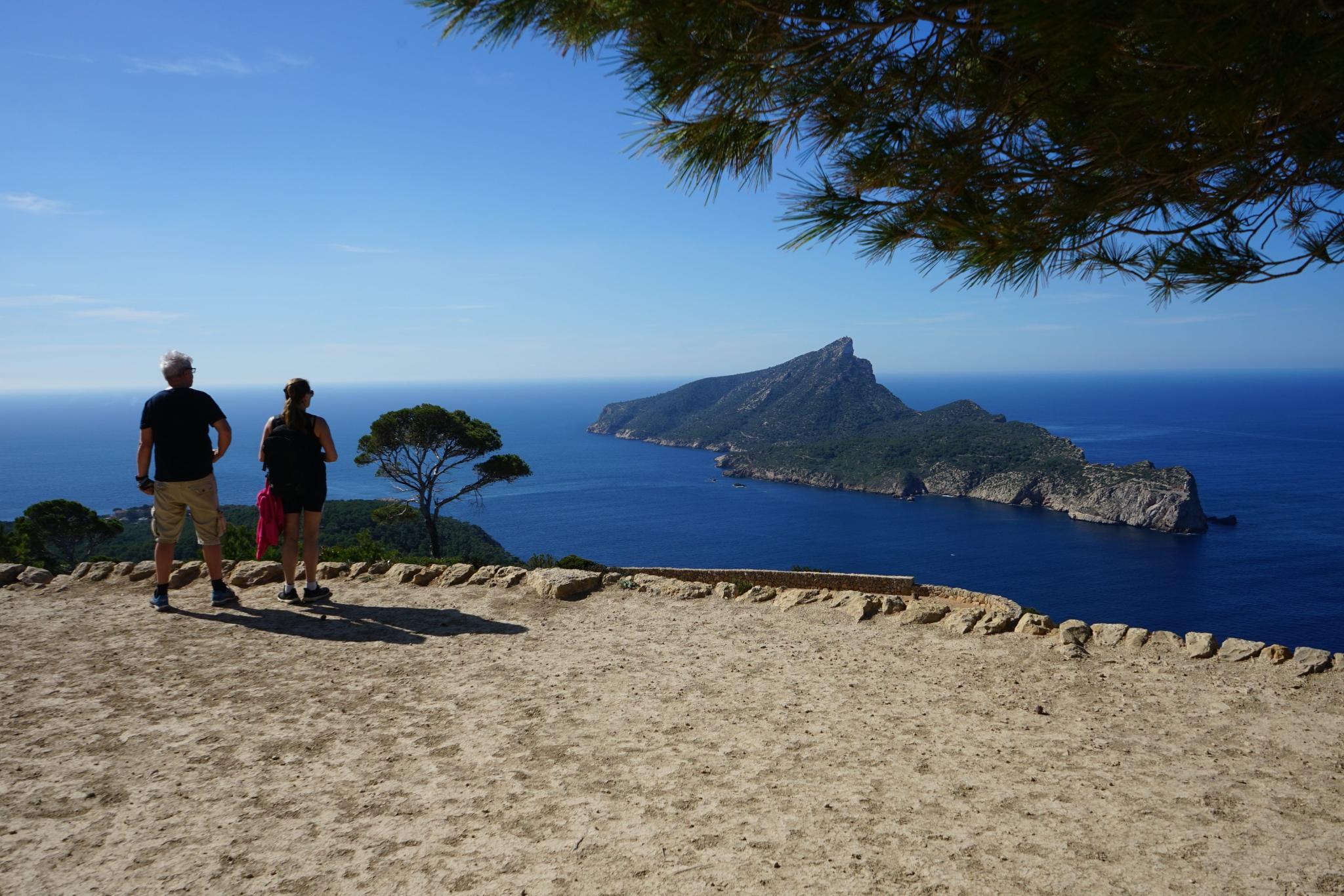 Jahrelang waren sie weg: Ratten schwimmen von Mallorca zu vorgelagertem Eiland und setzen sich fest