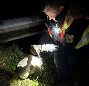 BPOL-FL: Bundespolizisten retten verletzten Schwan