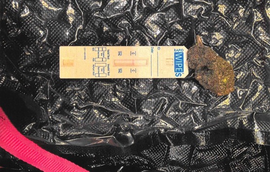 HZA-P: Zoll entdeckt knapp 30 Kilogramm Cannabis am Flughafen BER / Berauschendes Kraut für den Verkauf auf Berliner Märkten bestimmt