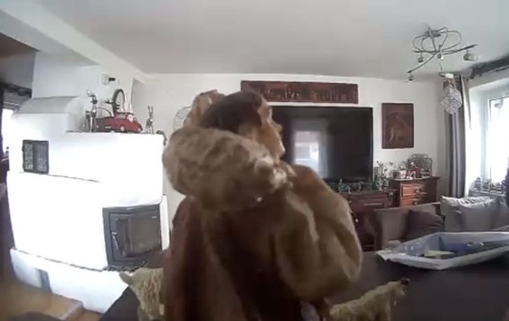 POL-MFR: (1208) Kamera zeigte vermeintlich Einbrecher – Krippenfigur löste Polizeieinsatz aus