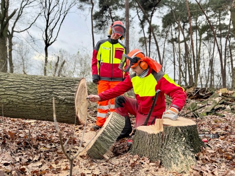 FW-OLL: Motorsägenausbildung erfolgreich fortgesetzt