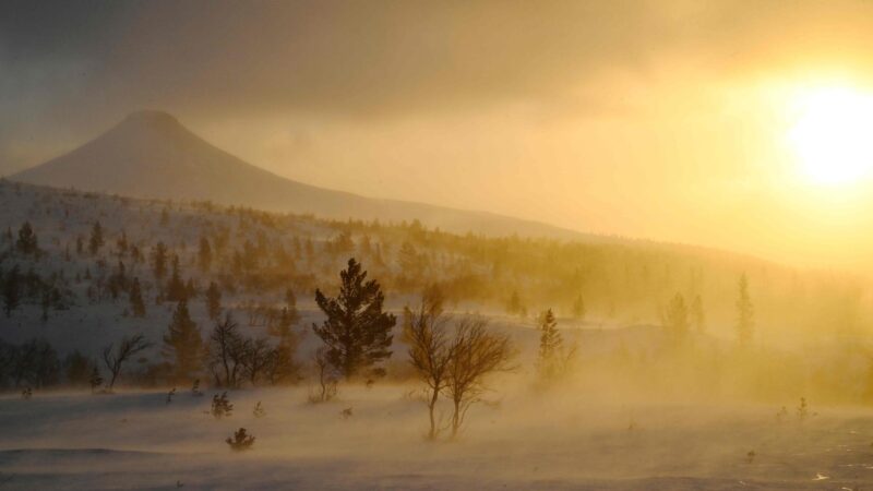 Tote durch Wintersturm in Schweden