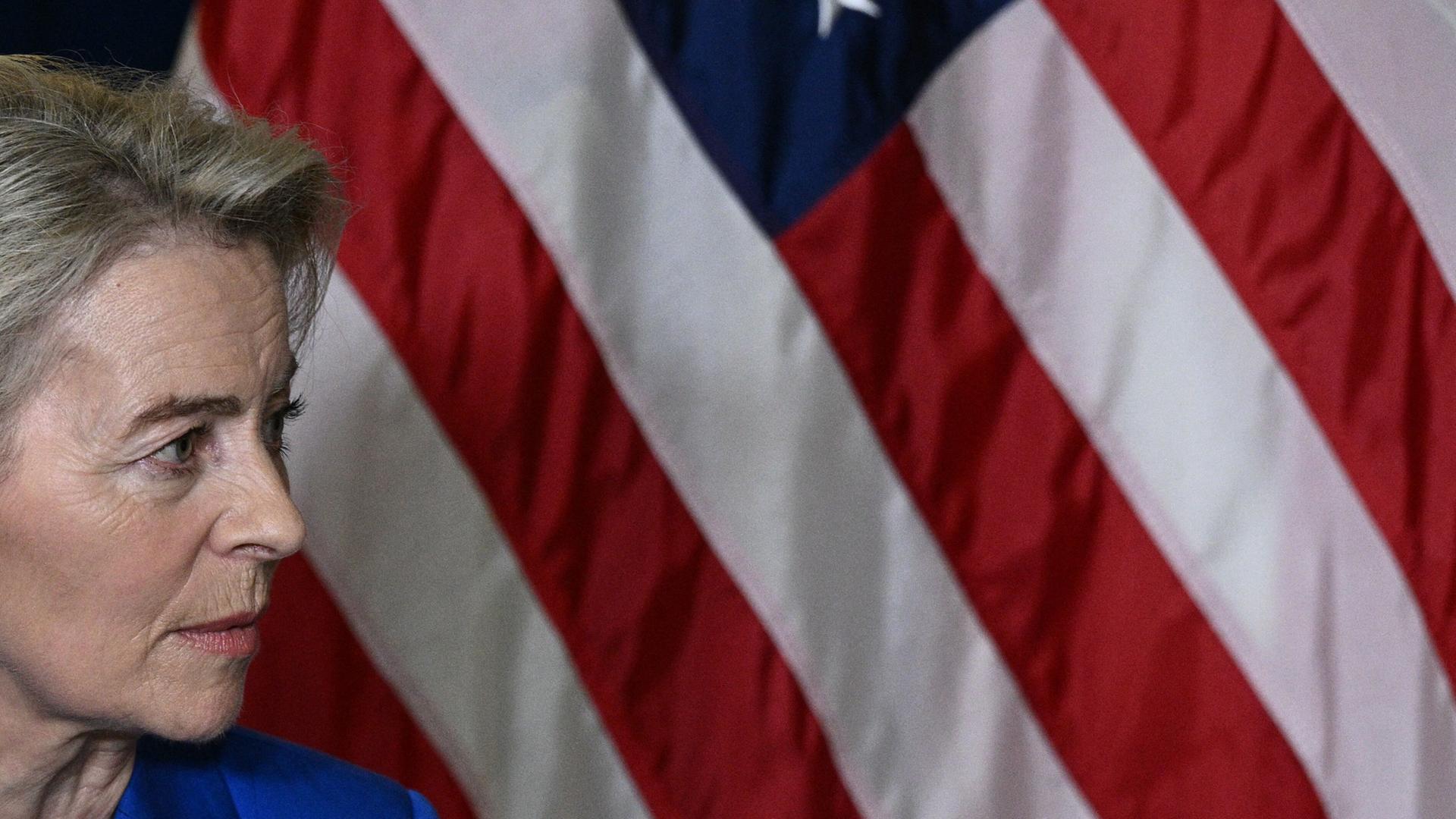 EU und die US-Sicherheitsdoktrin: Die Erkenntnis, allein zu Haus zu sein