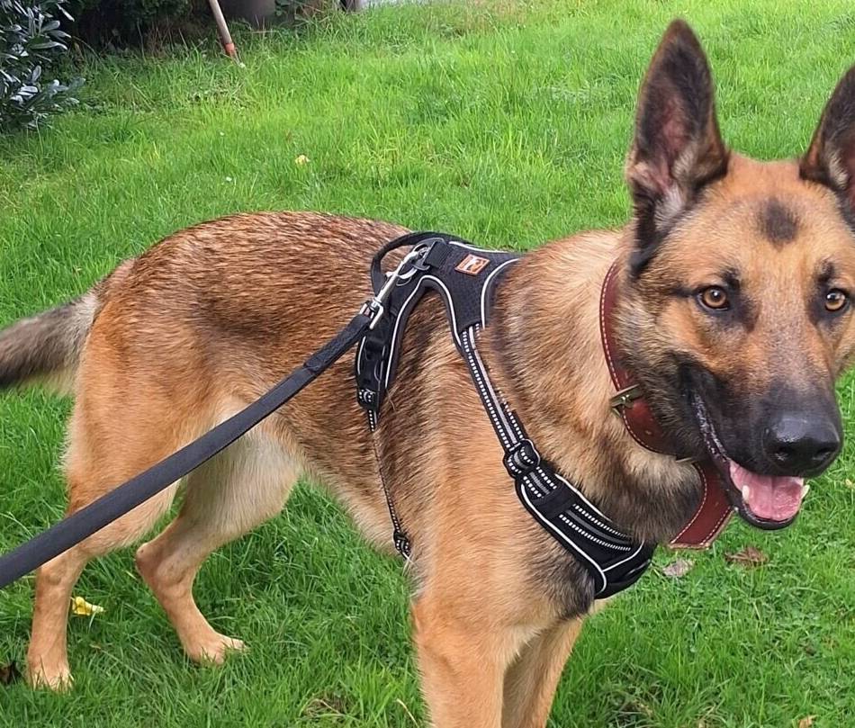 Tier der Woche: Smile liebt es, in Bewegung zu sein