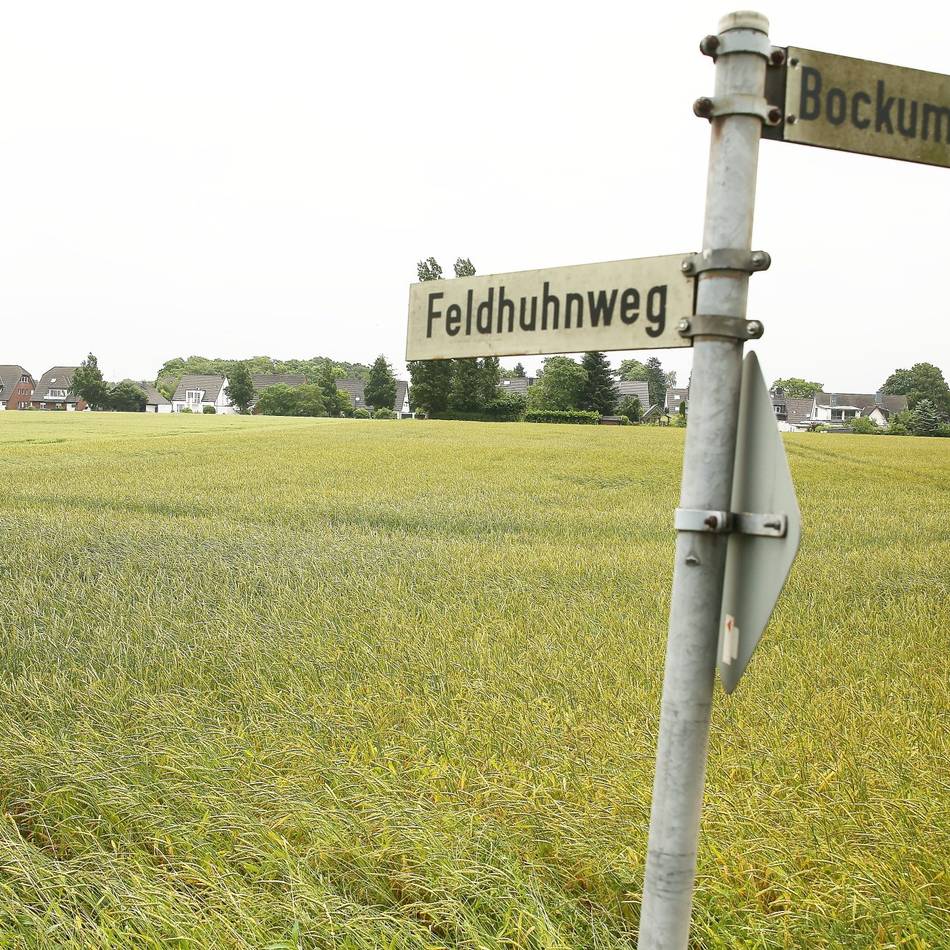 Wohnbebauung in Wittlaer: Stadtwerke Duisburg verklagen Stadt Düsseldorf auf Erschließung